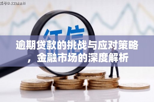 洪雅逾期贷款的挑战与应对策略，金融市场的深度解析