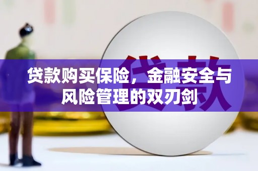 洪雅贷款购买保险，金融安全与风险管理的双刃剑