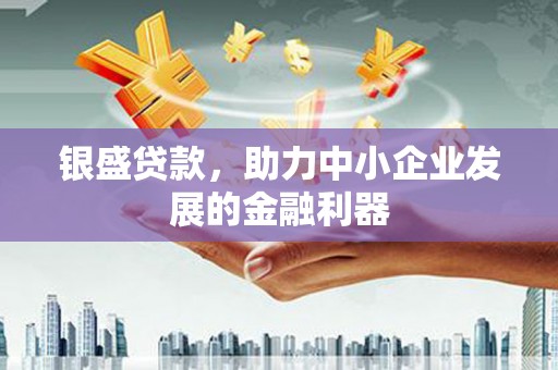 洪雅银盛贷款，助力中小企业发展的金融利器
