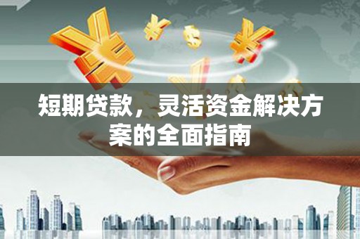 洪雅短期贷款，灵活资金解决方案的全面指南