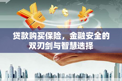 洪雅贷款购买保险，金融安全的双刃剑与智慧选择