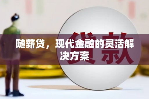 洪雅随薪贷，现代金融的灵活解决方案