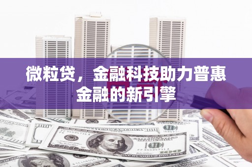 洪雅微粒贷，金融科技助力普惠金融的新引擎