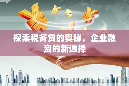 洪雅探索税务贷的奥秘，企业融资的新选择