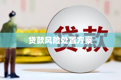 洪雅贷款风险处置方案