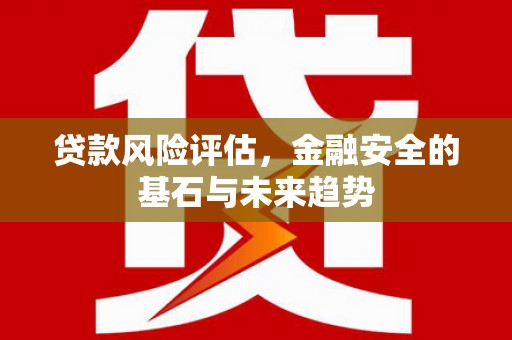 洪雅贷款风险评估，金融安全的基石与未来趋势