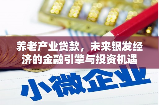 洪雅养老产业贷款，未来银发经济的金融引擎与投资机遇