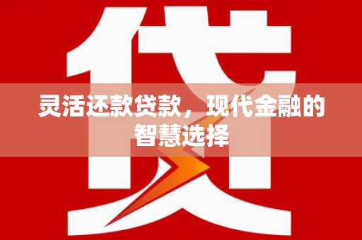 洪雅灵活还款贷款，现代金融的智慧选择