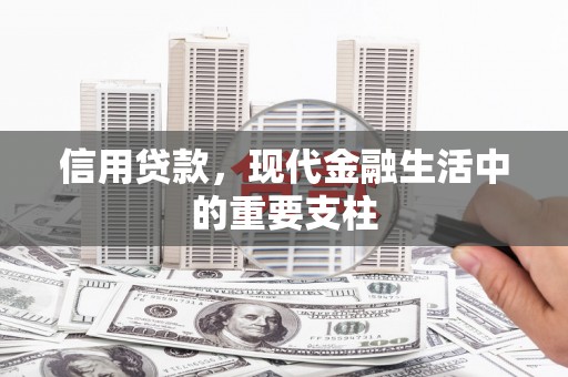 洪雅信用贷款，现代金融生活中的重要支柱