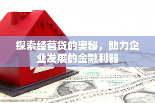 洪雅探索经营贷的奥秘，助力企业发展的金融利器