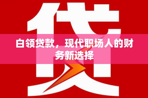 洪雅白领贷款，现代职场人的财务新选择