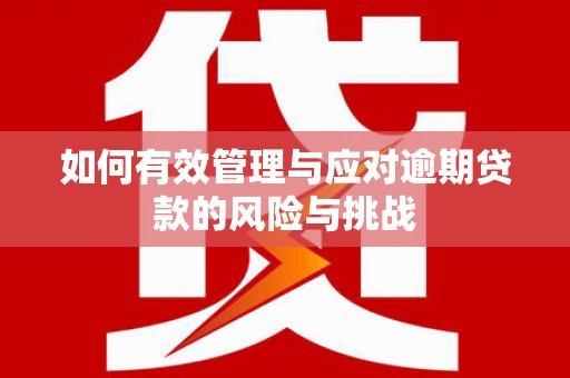 洪雅如何有效管理与应对逾期贷款的风险与挑战