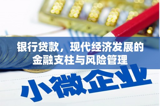 洪雅银行贷款，现代经济发展的金融支柱与风险管理