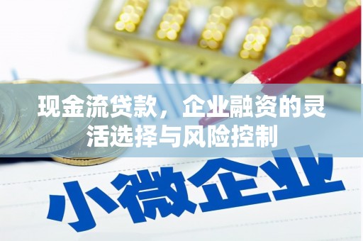 洪雅现金流贷款，企业融资的灵活选择与风险控制