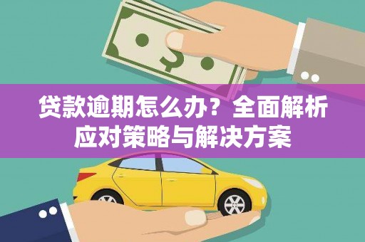 洪雅贷款逾期怎么办？全面解析应对策略与解决方案