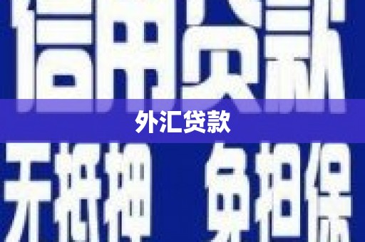 洪雅外汇贷款