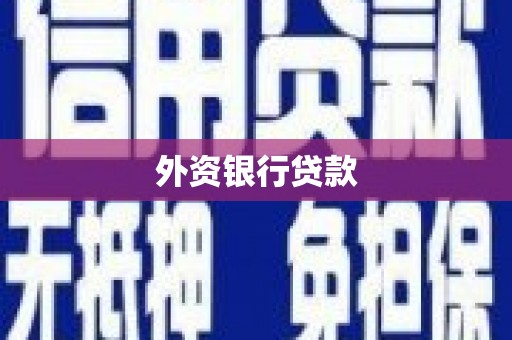 洪雅外资银行贷款
