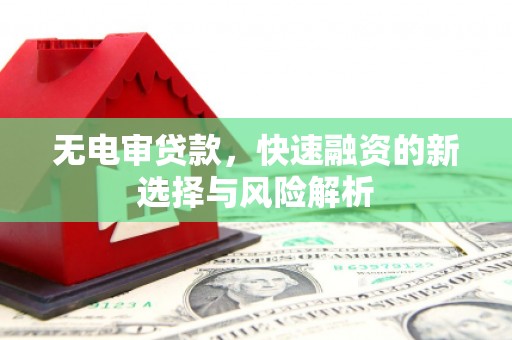 洪雅无电审贷款，快速融资的新选择与风险解析