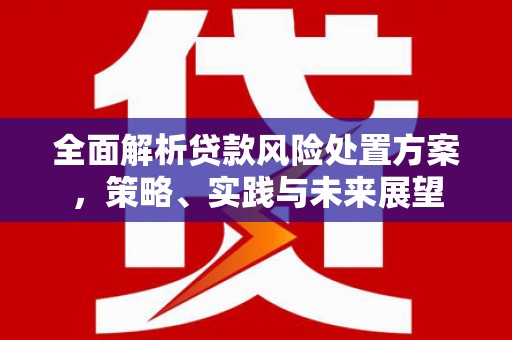 洪雅全面解析贷款风险处置方案，策略、实践与未来展望