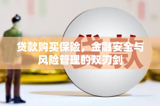 洪雅贷款购买保险，金融安全与风险管理的双刃剑