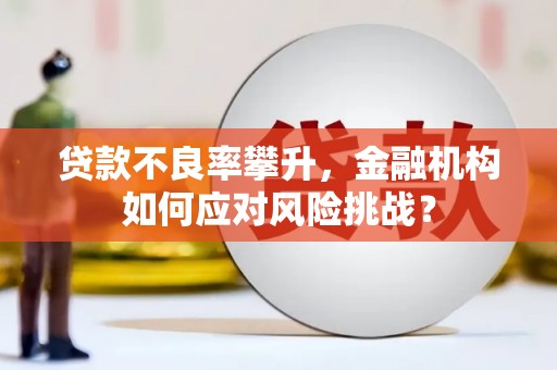 洪雅贷款不良率攀升，金融机构如何应对风险挑战？
