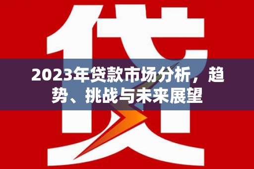 洪雅2023年贷款市场分析，趋势、挑战与未来展望