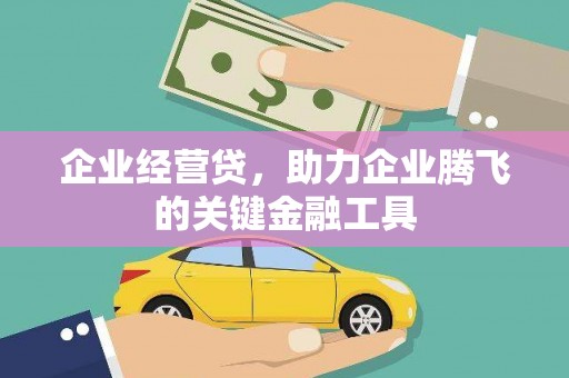 洪雅企业经营贷，助力企业腾飞的关键金融工具