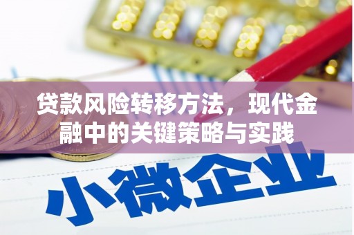 洪雅贷款风险转移方法，现代金融中的关键策略与实践