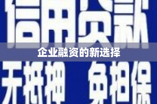 洪雅企业融资的新选择