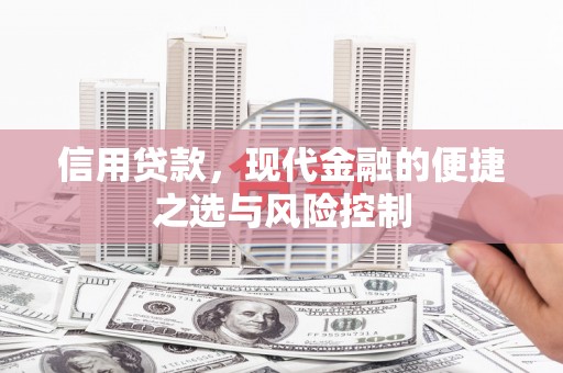 洪雅信用贷款，现代金融的便捷之选与风险控制