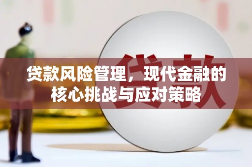 洪雅贷款风险管理，现代金融的核心挑战与应对策略