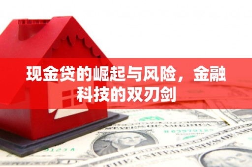 洪雅现金贷的崛起与风险，金融科技的双刃剑