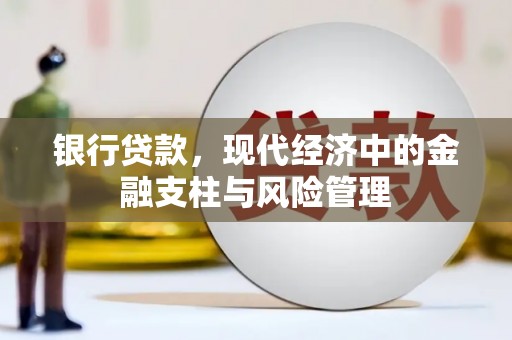 洪雅银行贷款，现代经济中的金融支柱与风险管理