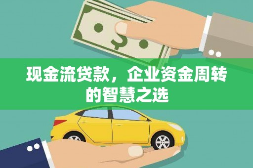 洪雅现金流贷款，企业资金周转的智慧之选