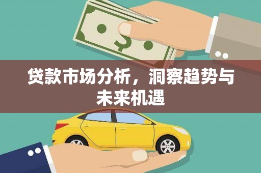洪雅贷款市场分析，洞察趋势与未来机遇