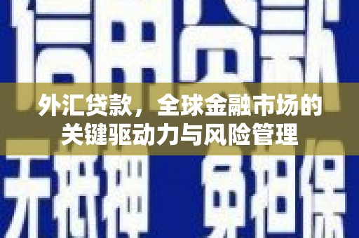 洪雅外汇贷款，全球金融市场的关键驱动力与风险管理