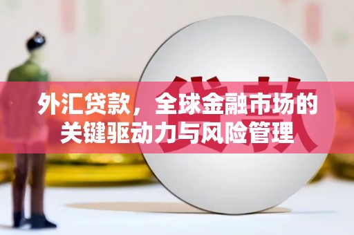 洪雅外汇贷款，全球金融市场的关键驱动力与风险管理