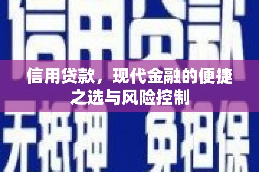 洪雅信用贷款，现代金融的便捷之选与风险控制