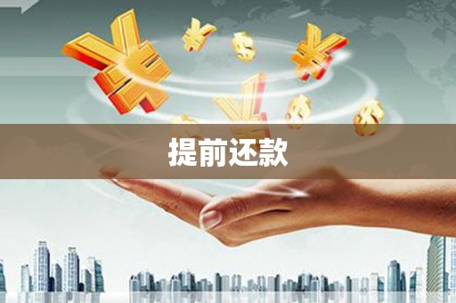 洪雅提前还款