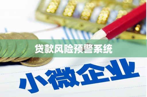 洪雅贷款风险预警系统