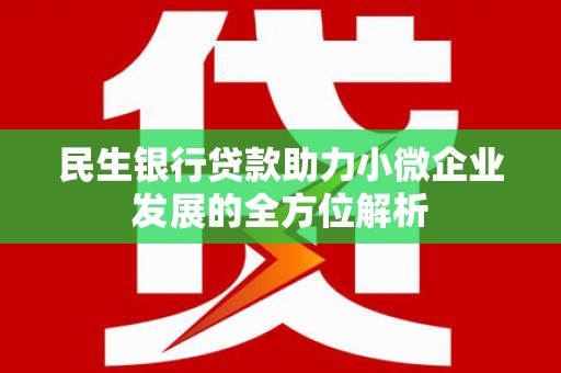洪雅民生银行贷款助力小微企业发展的全方位解析