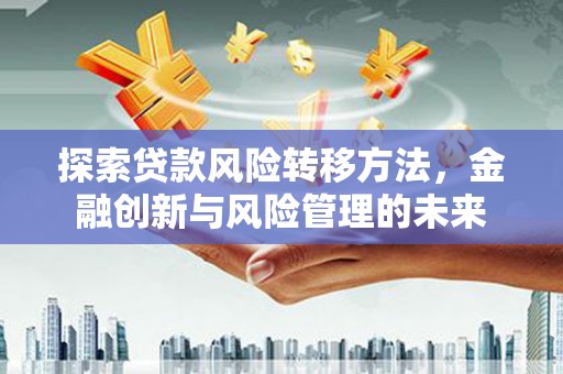 洪雅探索贷款风险转移方法，金融创新与风险管理的未来