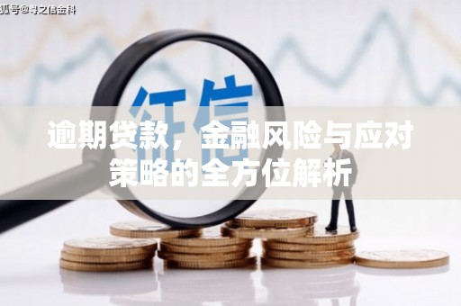 洪雅逾期贷款，金融风险与应对策略的全方位解析