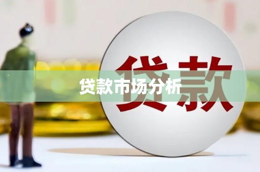 洪雅贷款市场分析