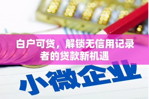 洪雅白户可贷，解锁无信用记录者的贷款新机遇