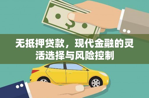 洪雅无抵押贷款，现代金融的灵活选择与风险控制