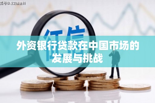 洪雅外资银行贷款在中国市场的发展与挑战