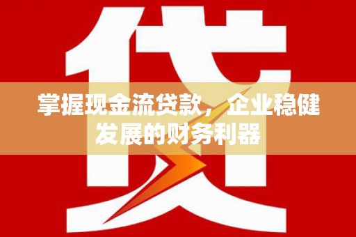 洪雅掌握现金流贷款，企业稳健发展的财务利器