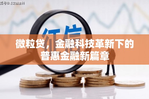 洪雅微粒贷，金融科技革新下的普惠金融新篇章