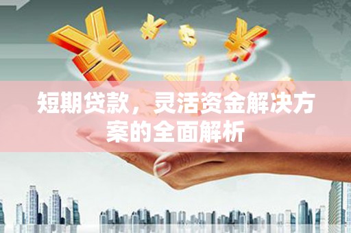 洪雅短期贷款，灵活资金解决方案的全面解析